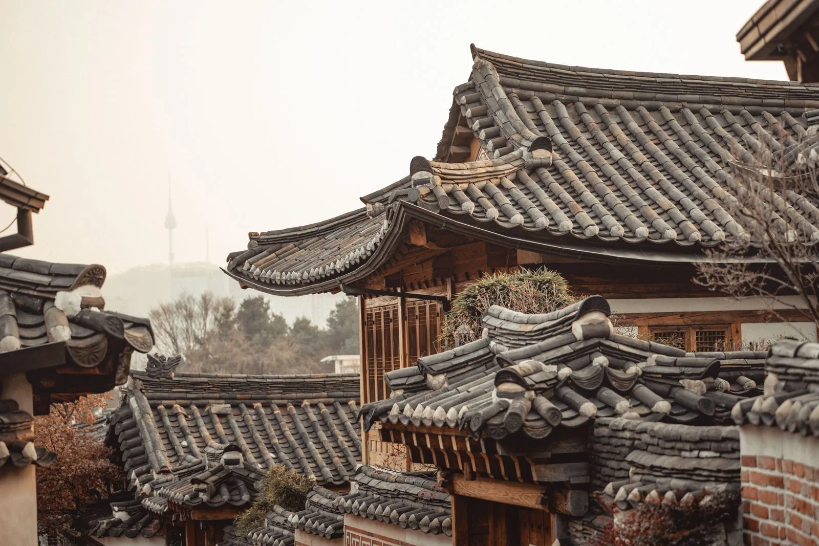 Korean Silence Meditation
